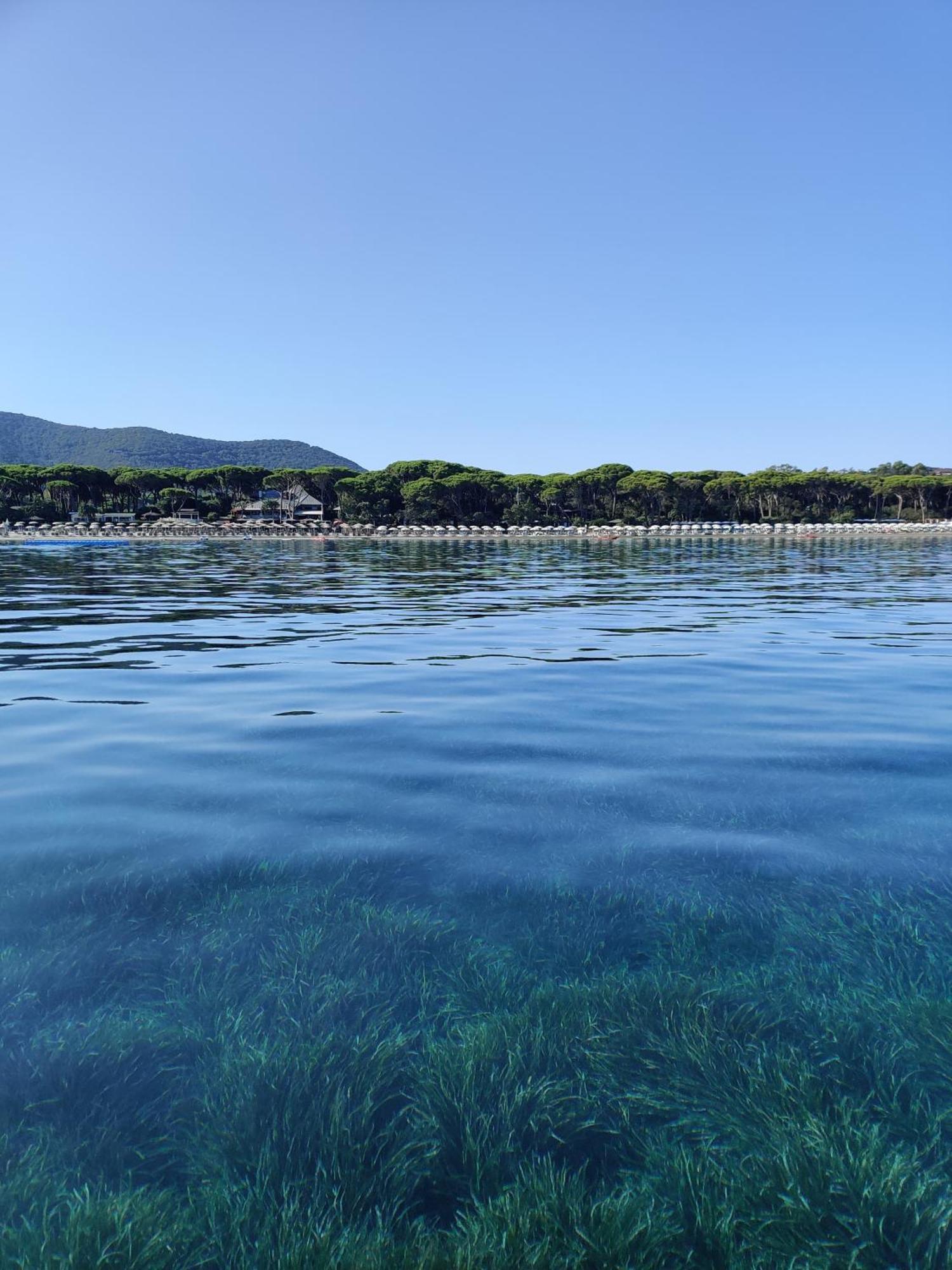 Holiday Homes Marina Udine Dış mekan fotoğraf
